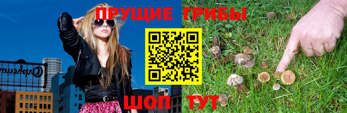 Галлюциногенные грибы Psilocybine cubensis  Вход с VPN  даркнет сайт  Псилоцибиновые грибы мухоморы  Йошкар-Ола 